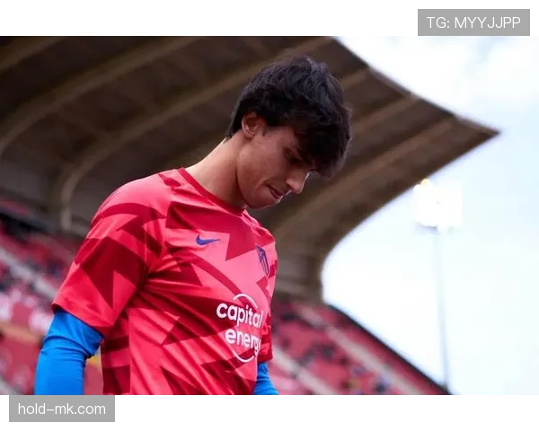 技术型攻击手模板：菲利克斯的风格解析